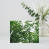 Carte Postale Regard sur les arbres d'été (Debout devant)