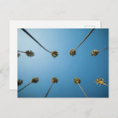 Carte Postale Regard Sur Les Palmiers (Altadena, CA) (Devant / Derrière)