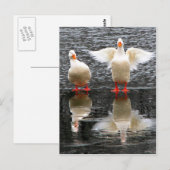 Carte Postale Regarde l'aile ! (Devant / Derrière)