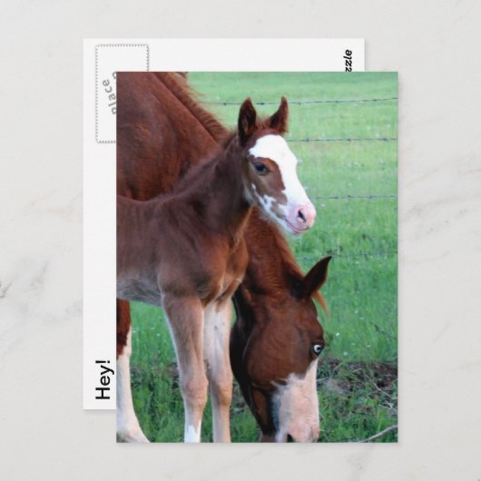 Carte Postale Regarde-moi ! (Devant / Derrière)