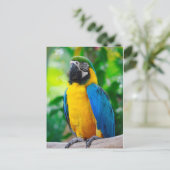 Carte Postale Regarde-moi (Debout devant)