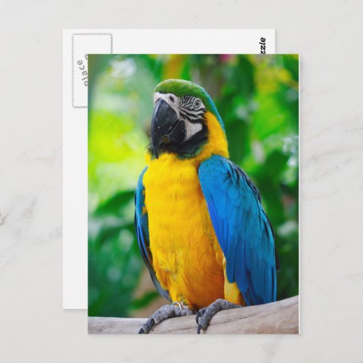 Carte Postale Regarde-moi (Devant / Derrière)