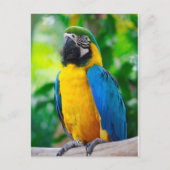 Carte Postale Regarde-moi (Devant)