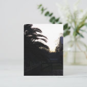 Carte Postale Regarder le coucher du soleil (Debout devant)