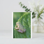 Carte Postale Regarder le coucher du soleil (Debout devant)