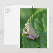 Carte Postale Regarder le coucher du soleil (Devant / Derrière)