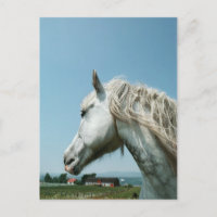 Regarder le gris taché