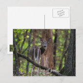 Carte Postale Regarder le passé (Devant / Derrière)