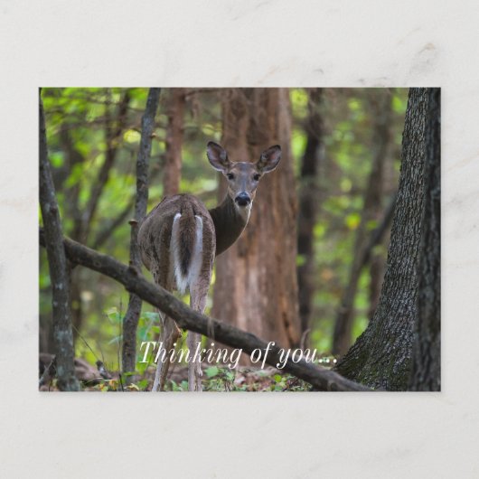 Carte Postale Regarder le passé (Devant)