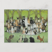 Carte Postale Regardez la Birdie (Devant)