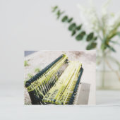 Carte Postale Regardez Où Vous Êtes Assis (Debout devant)