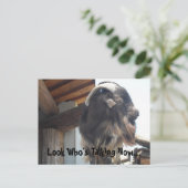 Carte Postale Regardez qui parle maintenant... (Debout devant)