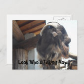 Carte Postale Regardez qui parle maintenant... (Devant / Derrière)