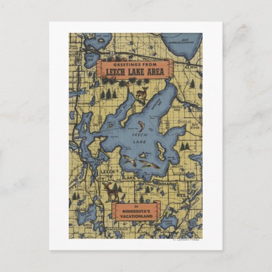 Carte Postale Région du lac Leech, Minnesota - Scènes à grandes  (Devant)