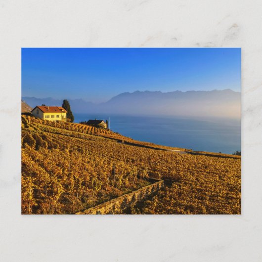 Carte Postale Région du Lavaux, Vaud, Suisse (Devant)