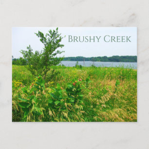 Carte Postale Région récréative de l'État de Brushy Creek, Lehig