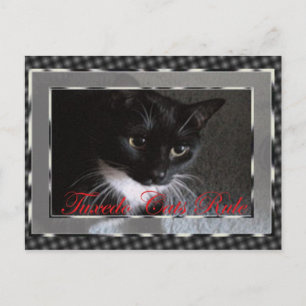 Carte Postale Règle de chats de Tuxedo