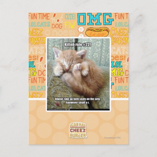 Carte Postale Règle de Kitteh #231 (Devant)