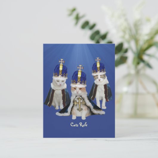 Carte Postale Règle des chats (Debout devant)