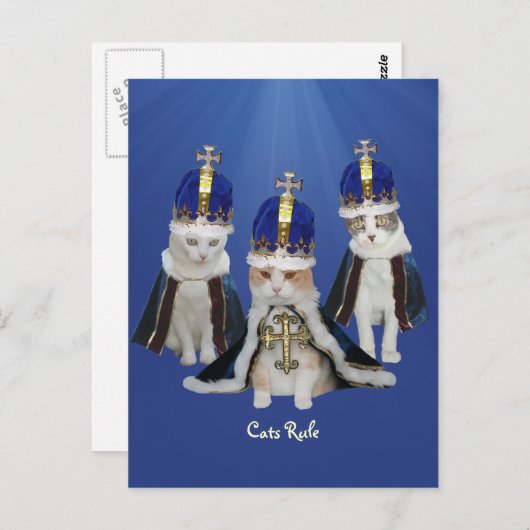 Carte Postale Règle des chats (Devant / Derrière)