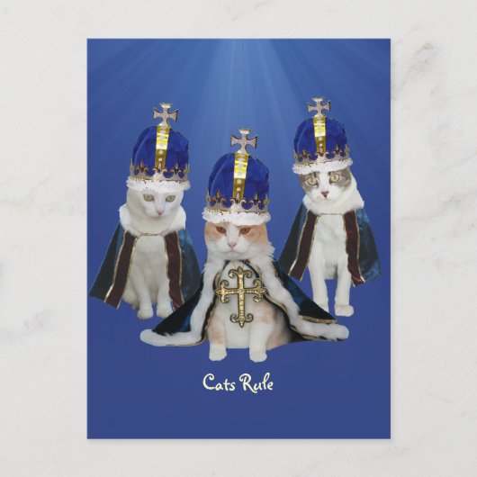 Carte Postale Règle des chats (Devant)