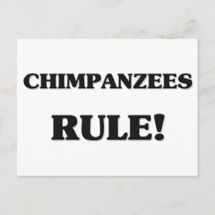 Carte Postale Règle des chimpanzés