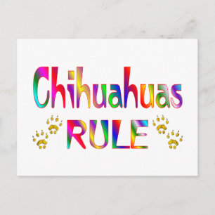 Carte Postale Règle du Chihuahuas