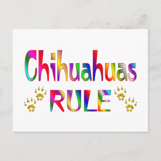 Carte Postale Règle du Chihuahuas (Devant)