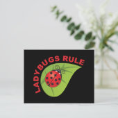 Carte Postale Règle Ladybugs (Debout devant)