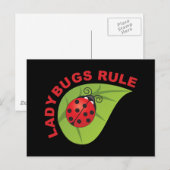 Carte Postale Règle Ladybugs (Devant / Derrière)