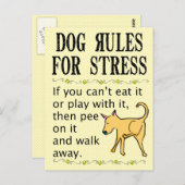 Carte Postale Règles pour le chien contre le stress (Devant / Derrière)