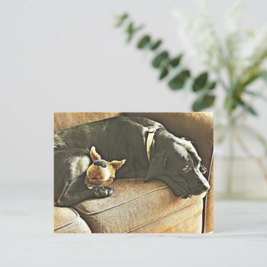 Carte Postale Regrets (Debout devant)