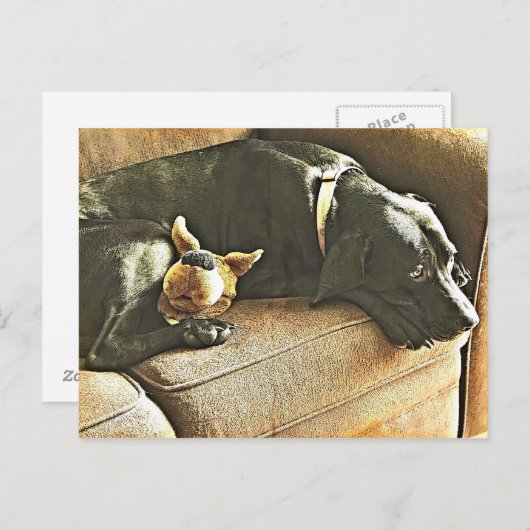 Carte Postale Regrets (Devant / Derrière)