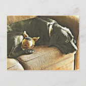 Carte Postale Regrets (Devant)