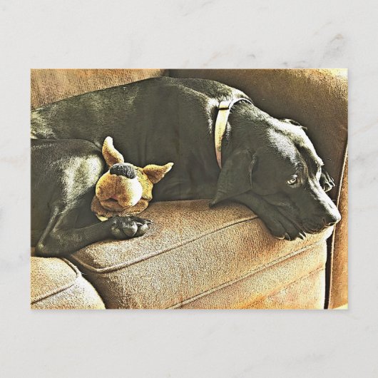 Carte Postale Regrets (Devant)