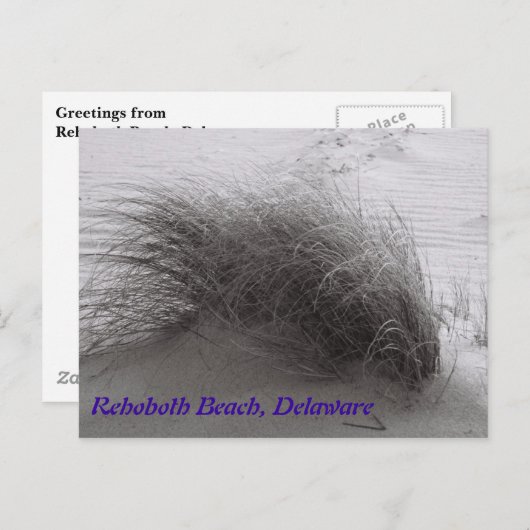 Carte postale Rehoboth Beach Gris (Devant / Derrière)