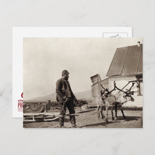 Carte postale Reindeder (Devant / Derrière)