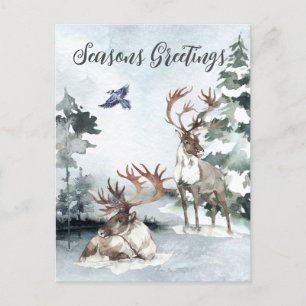 Carte Postale Reindees Paysage hivernal Aquarelle