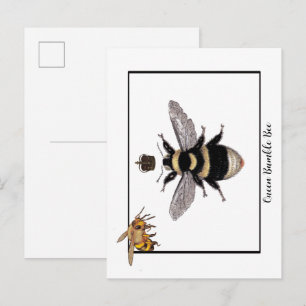 Carte Postale Reine Bourdon