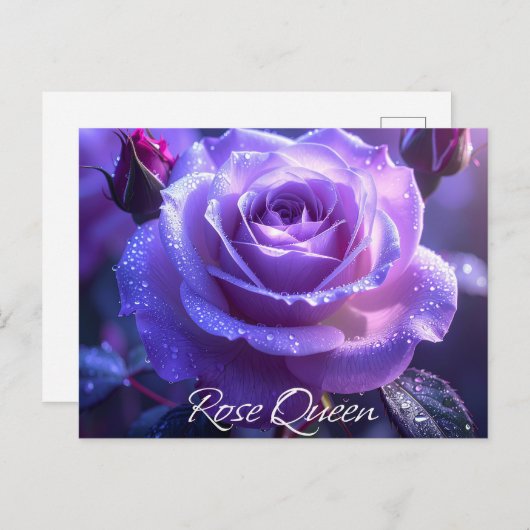 Carte Postale Reine rose (Devant / Derrière)