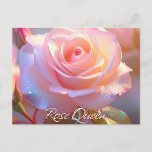 Carte Postale Reine rose (édition iridescente)