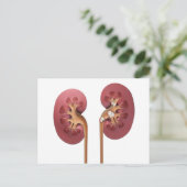 Carte Postale reins (Debout devant)