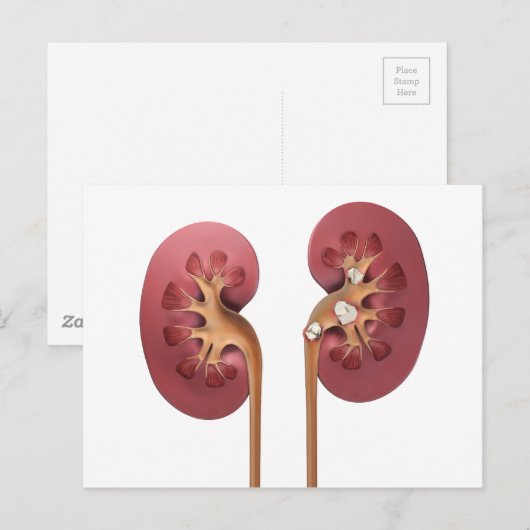 Carte Postale reins (Devant / Derrière)