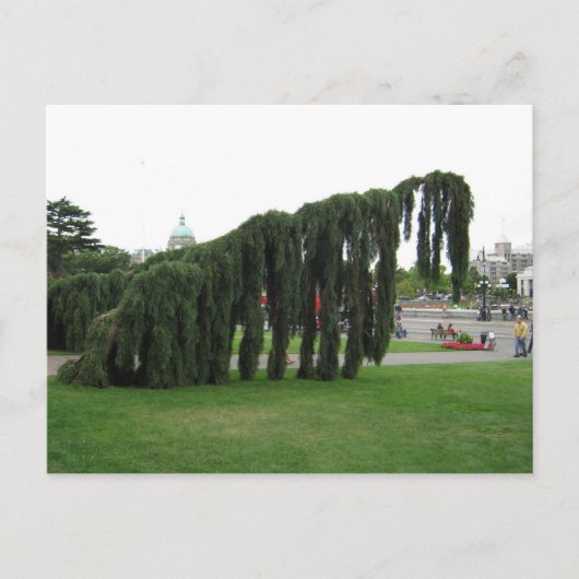 Carte Postale Rejeter un film d'horreur ? (Devant)