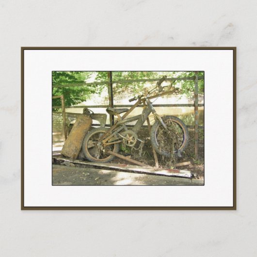 Carte Postale Rejetons de rivière (Devant)