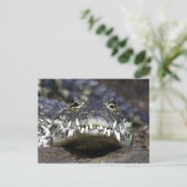 Carte Postale Rejoins-moi pour le dîner (Debout devant)