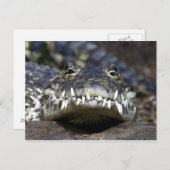 Carte Postale Rejoins-moi pour le dîner (Devant / Derrière)