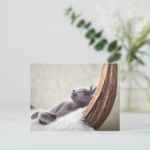 Carte Postale Relax (Debout devant)