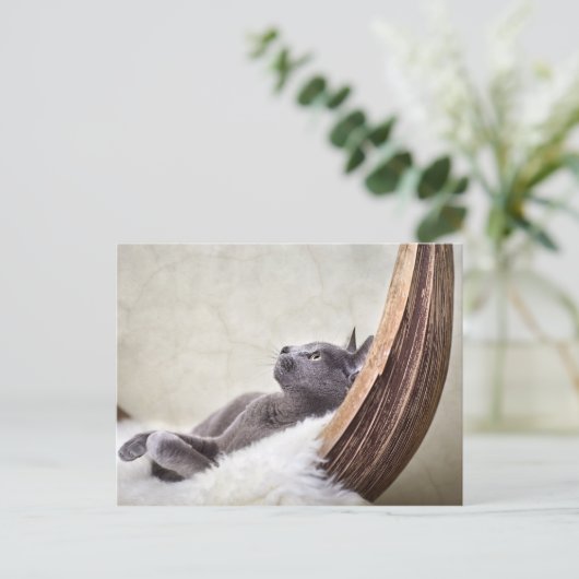 Carte Postale Relax (Debout devant)