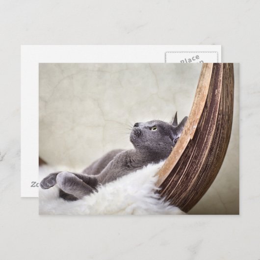 Carte Postale Relax (Devant / Derrière)